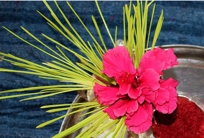 Dashain