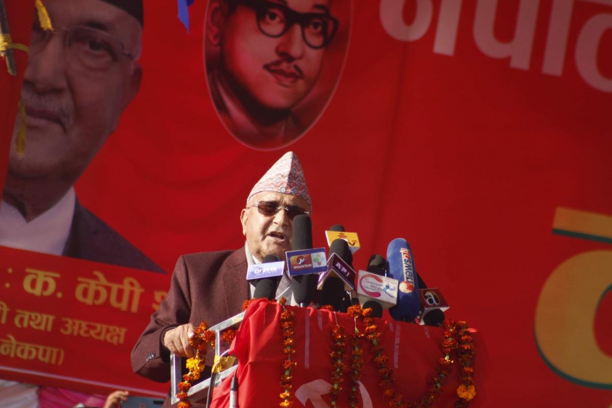 kp oli