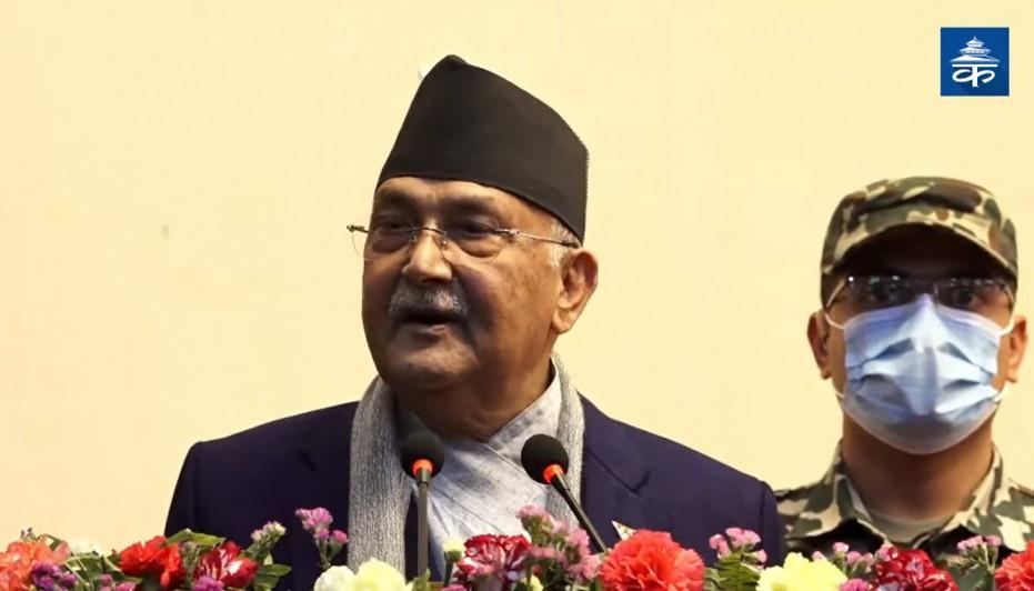 kp oli