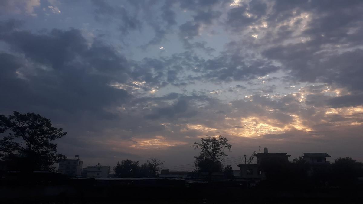 wether